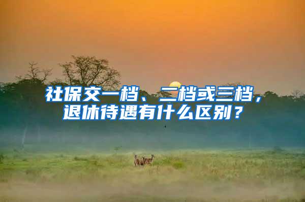 社保交一档、二档或三档，退休待遇有什么区别？