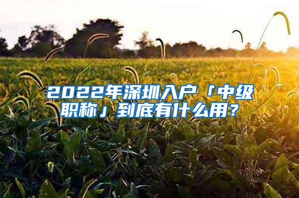 2022年深圳入户「中级职称」到底有什么用？