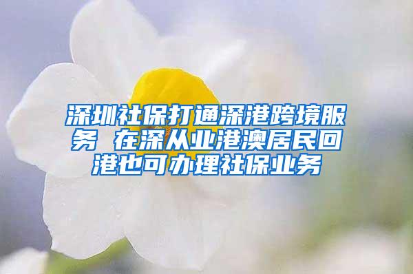 深圳社保打通深港跨境服务 在深从业港澳居民回港也可办理社保业务