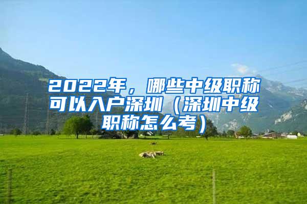 2022年，哪些中级职称可以入户深圳（深圳中级职称怎么考）