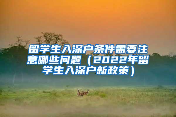 留学生入深户条件需要注意哪些问题（2022年留学生入深户新政策）