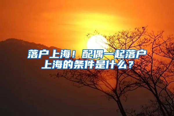 落户上海！配偶一起落户上海的条件是什么？