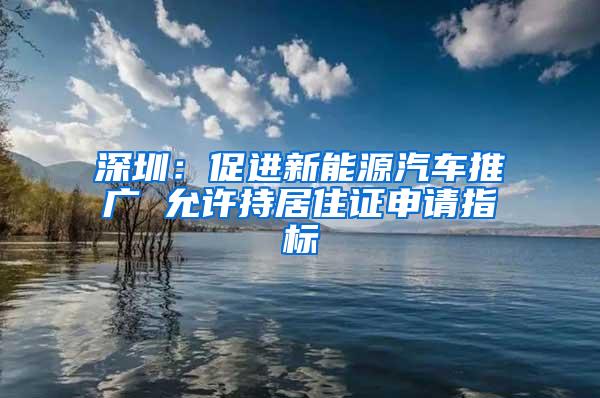 深圳：促进新能源汽车推广 允许持居住证申请指标