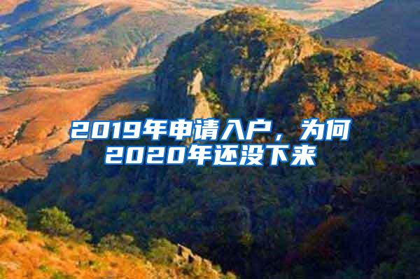 2019年申请入户，为何2020年还没下来