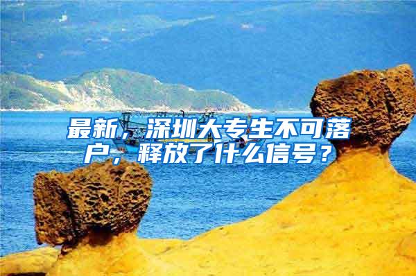 最新，深圳大专生不可落户，释放了什么信号？