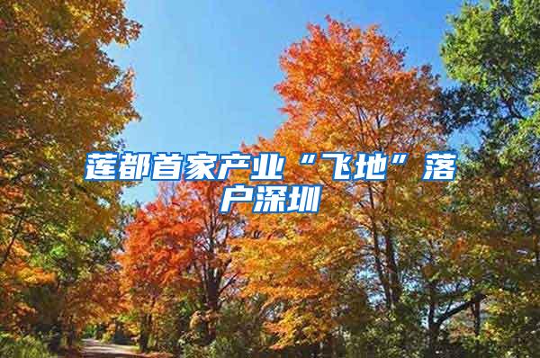 莲都首家产业“飞地”落户深圳
