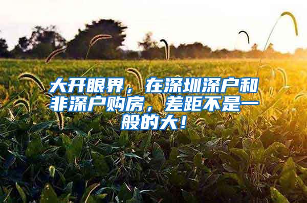 大开眼界，在深圳深户和非深户购房，差距不是一般的大！