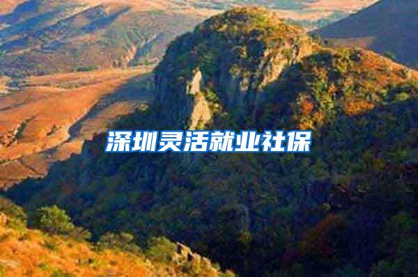 深圳灵活就业社保