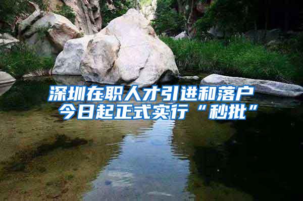 深圳在职人才引进和落户 今日起正式实行“秒批”
