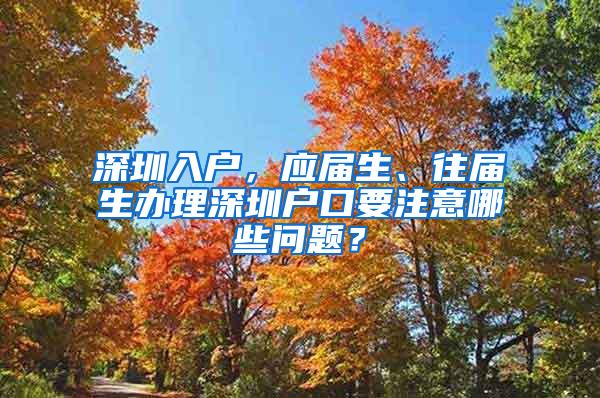 深圳入户，应届生、往届生办理深圳户口要注意哪些问题？