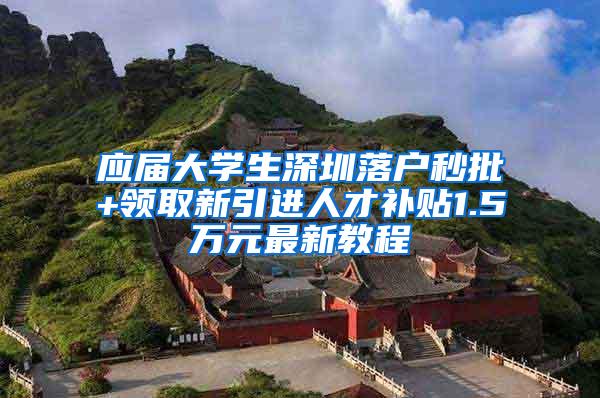 应届大学生深圳落户秒批+领取新引进人才补贴1.5万元最新教程