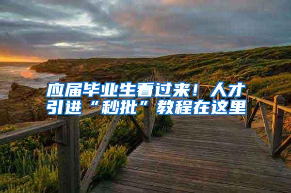 应届毕业生看过来！人才引进“秒批”教程在这里
