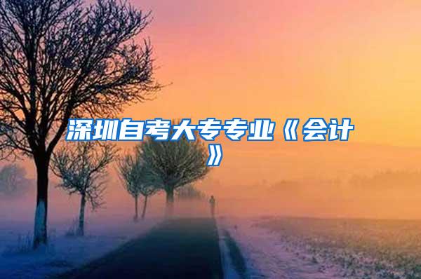 深圳自考大专专业《会计》