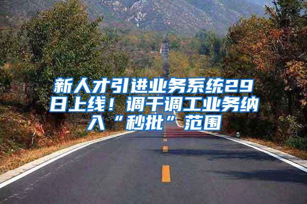 新人才引进业务系统29日上线！调干调工业务纳入“秒批”范围