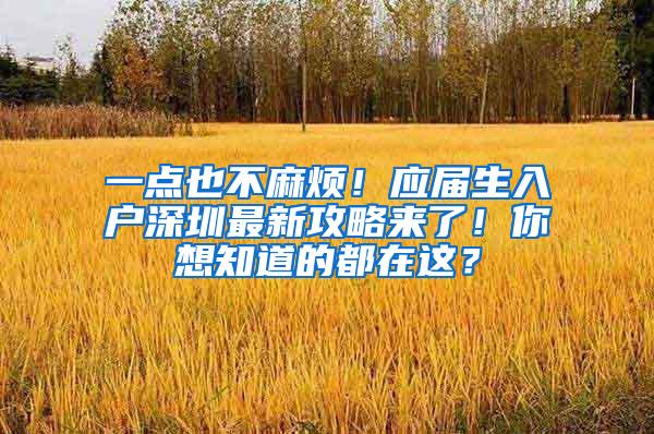 一点也不麻烦！应届生入户深圳最新攻略来了！你想知道的都在这？