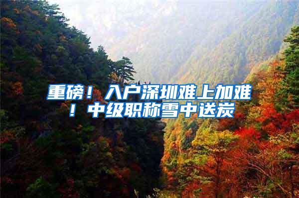 重磅！入户深圳难上加难！中级职称雪中送炭