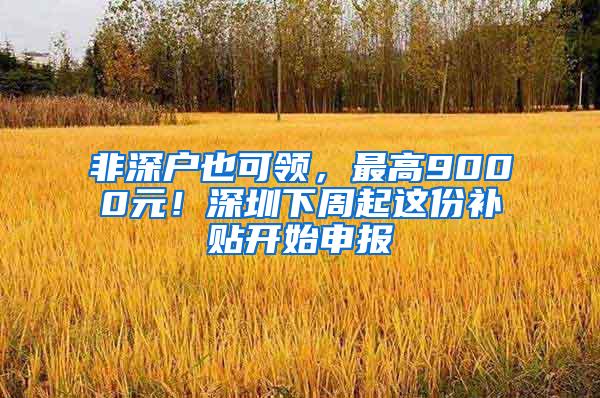 非深户也可领，最高9000元！深圳下周起这份补贴开始申报