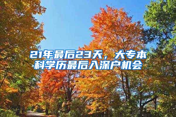 21年最后23天，大专本科学历最后入深户机会