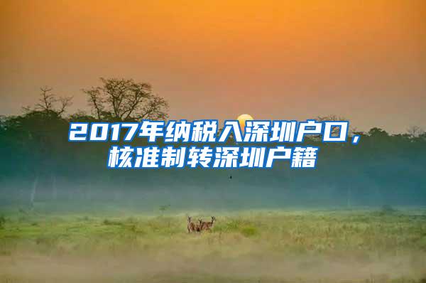 2017年纳税入深圳户口，核准制转深圳户籍