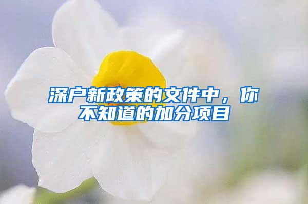 深户新政策的文件中，你不知道的加分项目