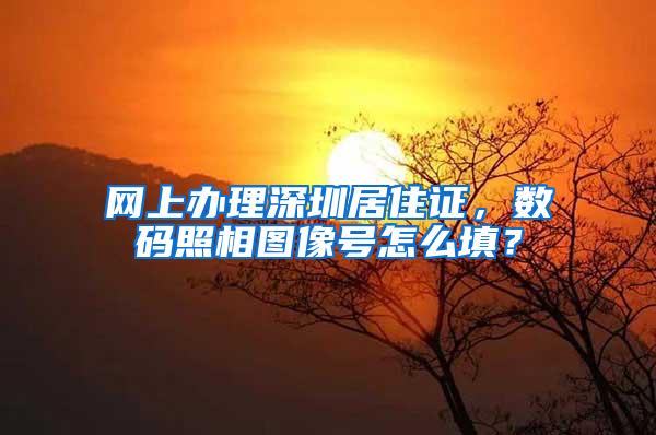 网上办理深圳居住证，数码照相图像号怎么填？