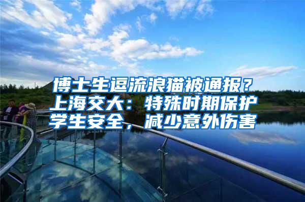 博士生逗流浪猫被通报？上海交大：特殊时期保护学生安全，减少意外伤害