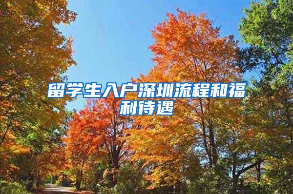 留学生入户深圳流程和福利待遇