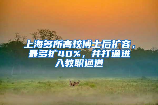 上海多所高校博士后扩容，最多扩40%，并打通进入教职通道