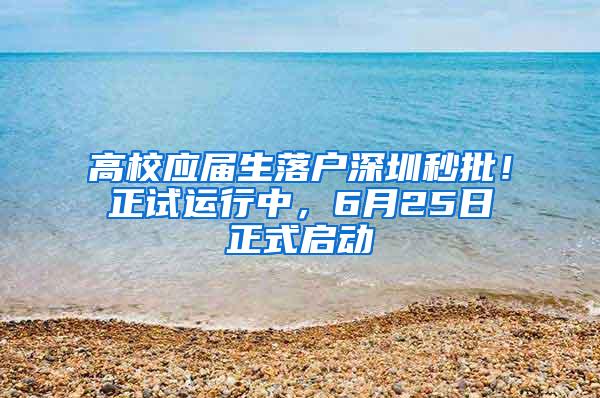 高校应届生落户深圳秒批！正试运行中，6月25日正式启动