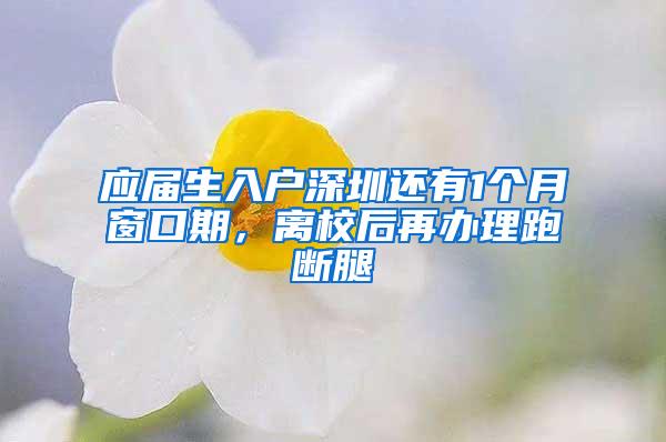 应届生入户深圳还有1个月窗口期，离校后再办理跑断腿