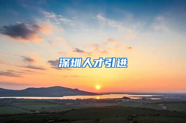 深圳人才引进
