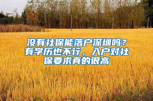 没有社保能落户深圳吗？有学历也不行，入户对社保要求真的很高