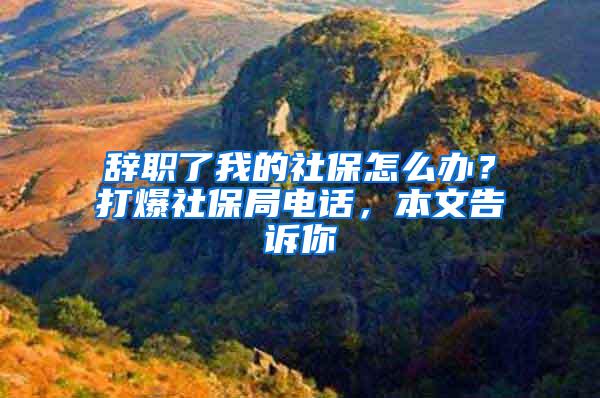 辞职了我的社保怎么办？打爆社保局电话，本文告诉你