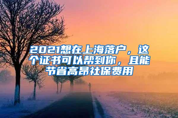 2021想在上海落户，这个证书可以帮到你，且能节省高昂社保费用