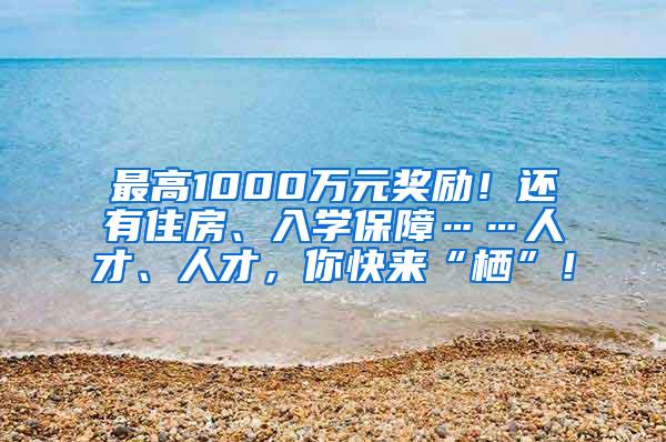最高1000万元奖励！还有住房、入学保障……人才、人才，你快来“栖”！