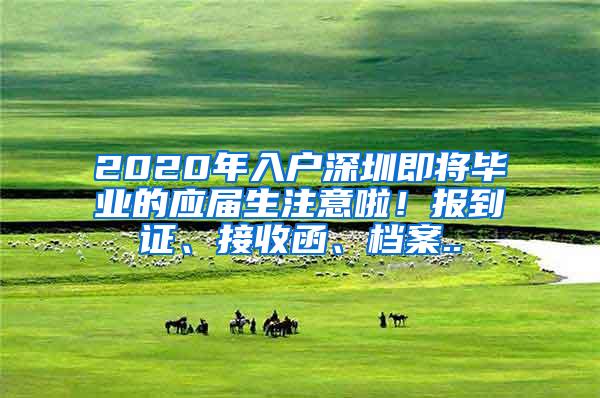 2020年入户深圳即将毕业的应届生注意啦！报到证、接收函、档案..