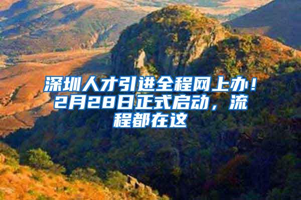 深圳人才引进全程网上办！2月28日正式启动，流程都在这