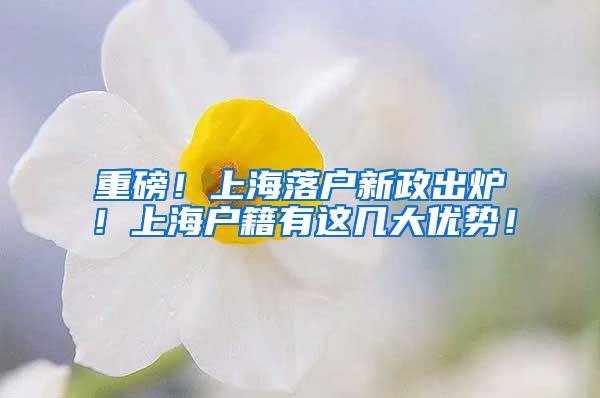 重磅！上海落户新政出炉！上海户籍有这几大优势！
