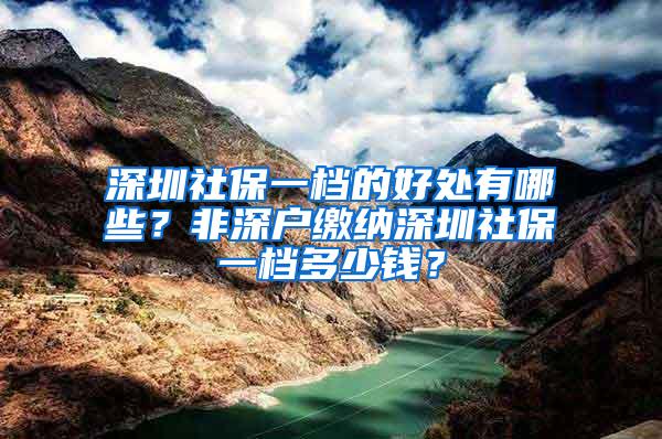 深圳社保一档的好处有哪些？非深户缴纳深圳社保一档多少钱？