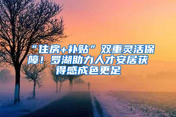 “住房+补贴”双重灵活保障！罗湖助力人才安居获得感成色更足