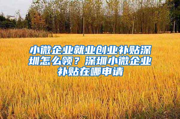 小微企业就业创业补贴深圳怎么领？深圳小微企业补贴在哪申请