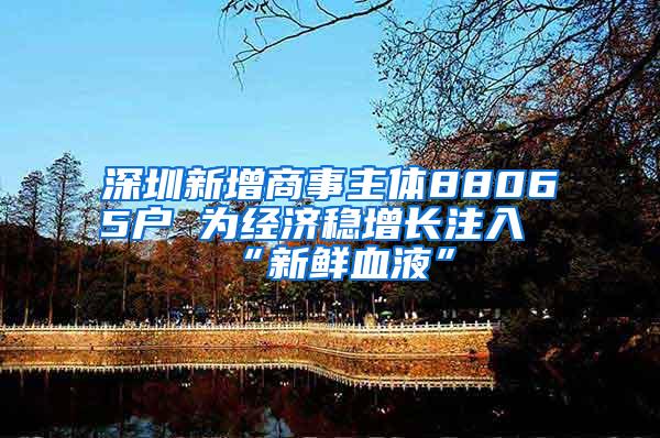 深圳新增商事主体88065户 为经济稳增长注入“新鲜血液”