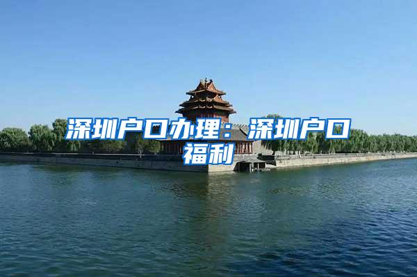 深圳户口办理：深圳户口福利