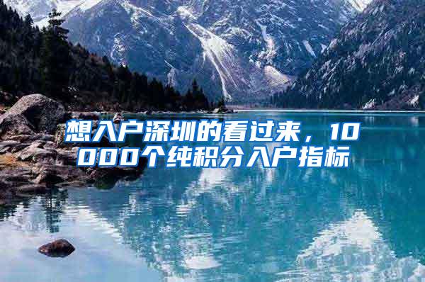 想入户深圳的看过来，10000个纯积分入户指标