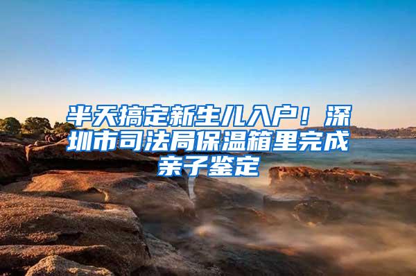 半天搞定新生儿入户！深圳市司法局保温箱里完成亲子鉴定
