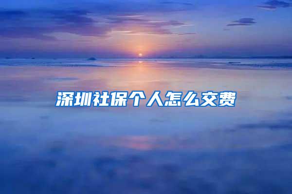 深圳社保个人怎么交费