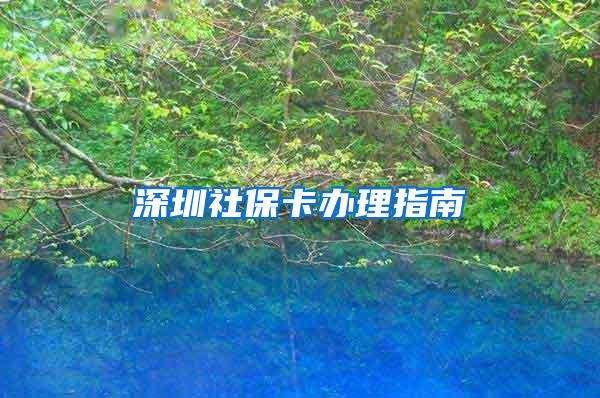 深圳社保卡办理指南
