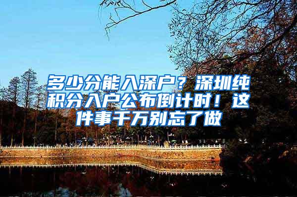 多少分能入深户？深圳纯积分入户公布倒计时！这件事千万别忘了做