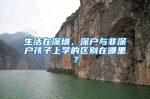 生活在深圳，深户与非深户孩子上学的区别在哪里？