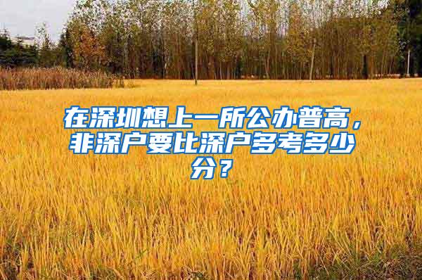 在深圳想上一所公办普高，非深户要比深户多考多少分？
